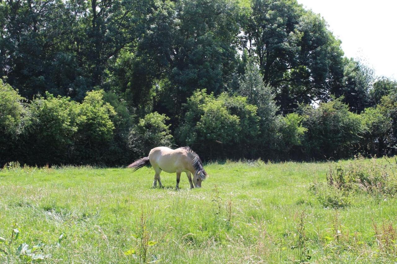La Ferme De La Croix Villa Saint-Quentin-Lamotte-Croix-au-Bailly Eksteriør billede